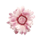 Kaz_Creations Pink Deco Flower Colours - zdarma png animovaný GIF