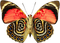 Vlinder - ilmainen png animoitu GIF