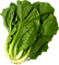 verdura - Free PNG Animated GIF