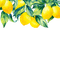 kikkapink lemon fruit deco png border - zdarma png animovaný GIF