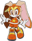 Sonic Riders - ingyenes png animált GIF