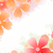 floral border   Bb2 - png gratis GIF animado