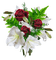 flower-white-minou52 - δωρεάν png κινούμενο GIF
