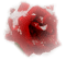 cecily-fleur givree - PNG gratuit GIF animé