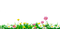 flowers field deco - Free PNG Animated GIF