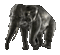 aze elephant s34 - Darmowy animowany GIF animowany gif