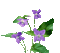 flores gif dubravka4 - Nemokamas animacinis gif animuotas GIF