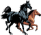 chevaux - bezmaksas png animēts GIF