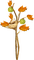 kikkapink deco autumn bird tree apple - png gratuito GIF animata