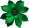 Flower - besplatni png animirani GIF