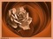 bg-.background-.brown--brun..rose - Free PNG Animated GIF