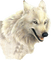wolf bp - kostenlos png Animiertes GIF