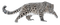 snow leopard bp - png gratuito GIF animata