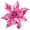 Christmas.Winter.Flower.Pink - KittyKatLuv65 - GIF animé gratuit GIF animé