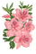kikkapink spring summer pink flowers - nemokama png animuotas GIF