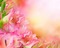 Kaz_Creations Deco  Flowers Backgrounds Background Colours - zadarmo png animovaný GIF