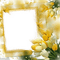 Cadre.Frame.yellow.Tulipes.Tulips.Victoriabea - PNG gratuit GIF animé