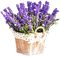 soave deco laventer flowers garden purple