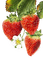fruit - Бесплатный анимированный гифка