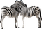 Kaz_Creations Zebra - gratis png geanimeerde GIF