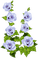 Tournesol94 fleur - nemokama png animuotas GIF