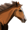 Kaz_Creations Horse - gratis png animeret GIF