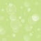 minou-green-verde-grön-vert-background-fond-sfondo-bakgrund - PNG gratuit GIF animé