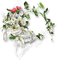 Decoration de flores - Бесплатный анимированный гифка