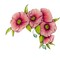 fleurs couronne - nemokama png animuotas GIF