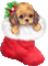 karácsonyi kutya - Nemokamas animacinis gif animuotas GIF