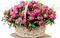 bouquet - gratis png animeret GIF
