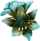 gala flowers - δωρεάν png κινούμενο GIF