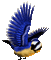 oiseau HD - Nemokamas animacinis gif animuotas GIF