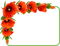 loly33 coquelicot - png grátis Gif Animado