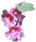 fleur - nemokama png animuotas GIF