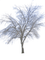 winter tree, sunshine3 - nemokama png animuotas GIF