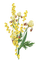 flowers katrin - gratis png animerad GIF