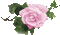 Pink Glitter Rose