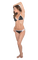 Bikini woman - png ฟรี GIF แบบเคลื่อนไหว