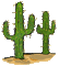 succulent plants bp - Free animated GIF Animated GIF