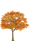 autumn tree Bb2 - PNG gratuit GIF animé