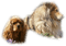 cecily-chiens - ingyenes png animált GIF