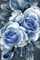 MMarcia gif blue rose fond - Free animated GIF Animated GIF