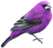 Kaz_Creations Purple Deco Scrap Bird Birds Colours
