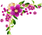 Kaz_Creations Deco Corner Flowers Colours - zadarmo png animovaný GIF