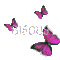 papillon bisous - Δωρεάν κινούμενο GIF κινούμενο GIF