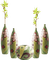Kaz_Creations Deco Flowers Vase