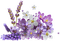 Flowers dm19 - darmowe png animowany gif