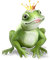 FROG KING grenouille roi