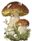 Pilze, Herbst, - png gratis GIF animasi